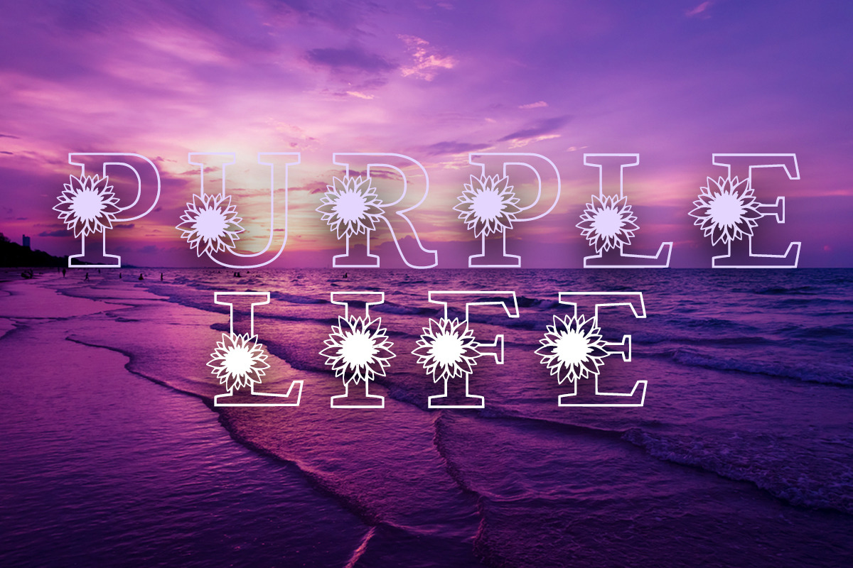 Sunflower Bright, a Font by Actual Pixel (Photo 4 of 7)