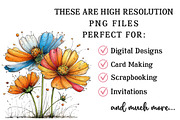 Spring Flower Clipart Bundle, an Illustration by OK Design (Thumbnail 5 of 6)
