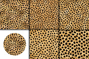 Realistic Cheetah Print Fur Texture, a Pattern Graphic by Artonix (Thumbnail 4 of 4)