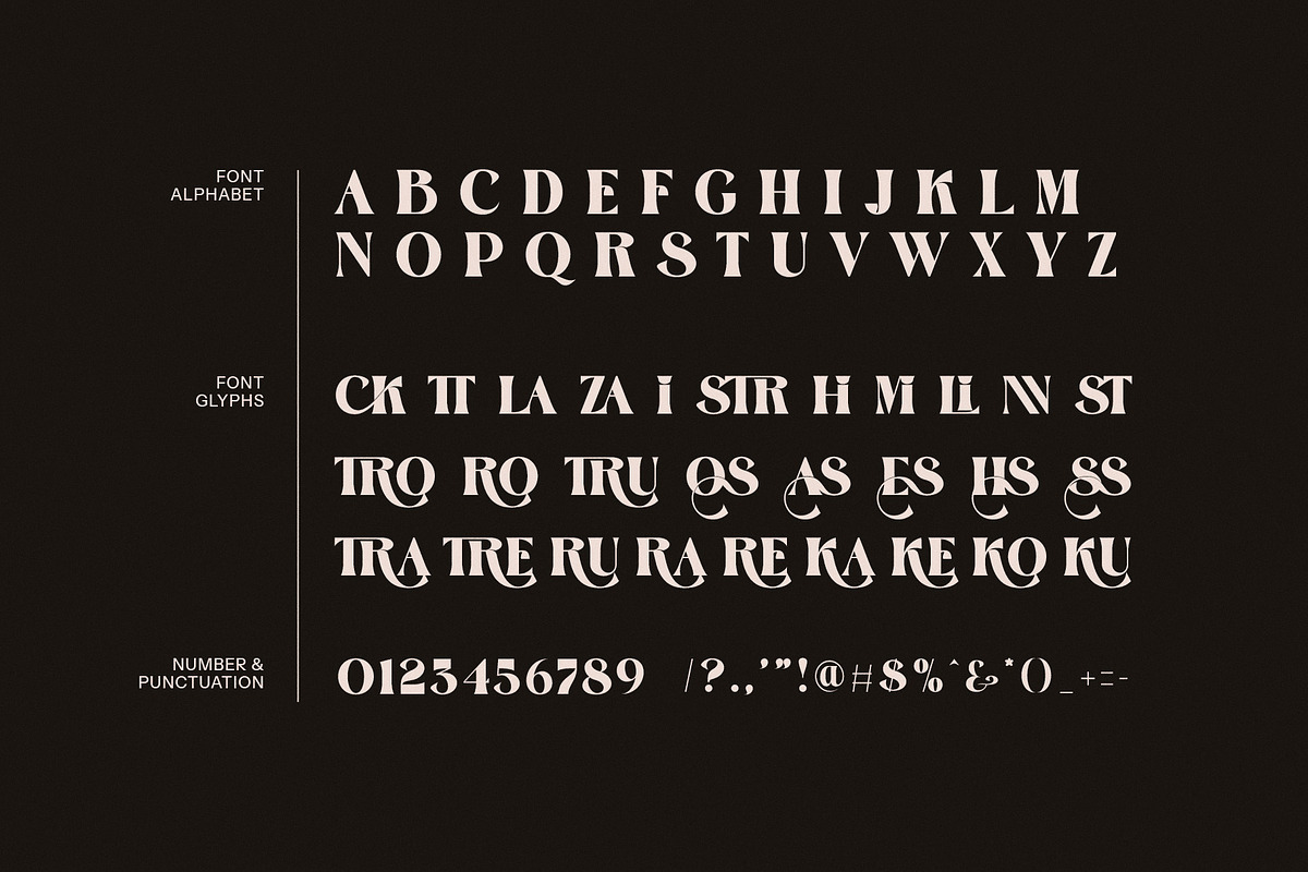Zara Rumios Stylish Serif Font, a Serif Font by Graphicxell (Photo 8 of 8)