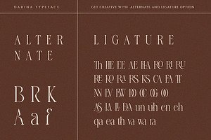 Darina Elegant Serif Font