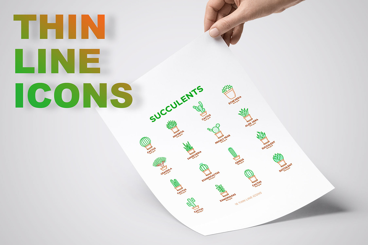 Succulents | 16 Thin Line Icons, an Outline Icon by Alex Blogoodf (Photo 3 of 9)