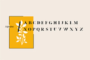 Musa | Modern Serif, a Serif Font by Muntab_Art (Thumbnail 5 of 6)