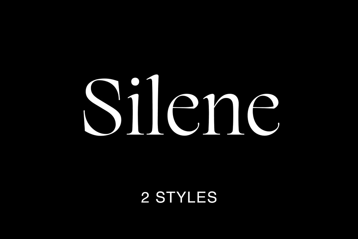 Silene - Elegant Serif Typeface, a Serif Font by Piotr Łapa (Photo 1 of 12)