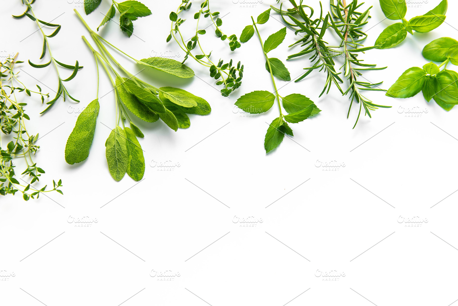 Aromatic fresh cooking herbs creating a white background border, a Food & Drink Photo by Olena Rudo