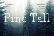 Pine Tall serif font, a Serif Font by TNE Designs (Thumbnail 1 of 5)