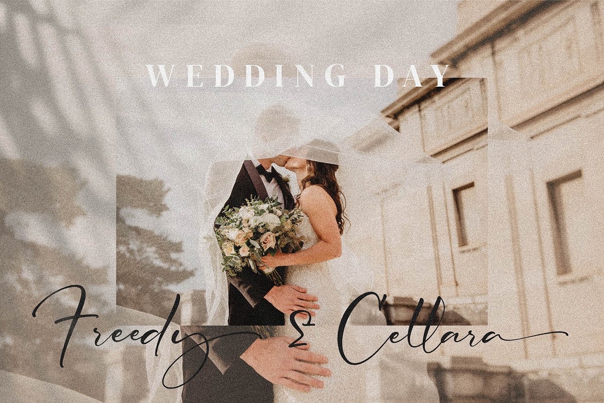 Cicaero, a Script Font by Integritype Studio (Photo 8 of 15)