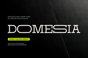 Domesia | Wide Slab Serif, a Slab Serif Font by gracetype_studio (Thumbnail 1 of 12)