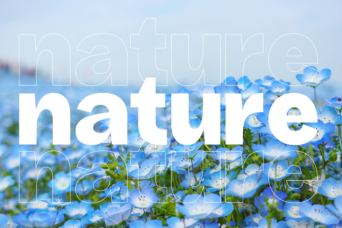 Chase Dreams Display Sans Serif Font, a Sans Serif Font by Letterena Studios (Photo 7 of 15)