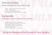 Coral Stickers & Illustration., an Object Graphic by IrinaCzaran (Thumbnail 5 of 5)