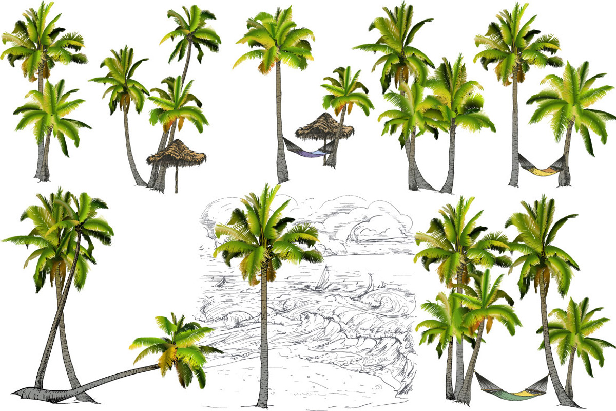 Palm tree collection (Vector), an Object Graphic by ArtOwl (Photo 2 of 10)