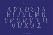Dianvella | A Embroidery Script Font, a Handwritten Font by Berdansabersama (Thumbnail 2 of 9)
