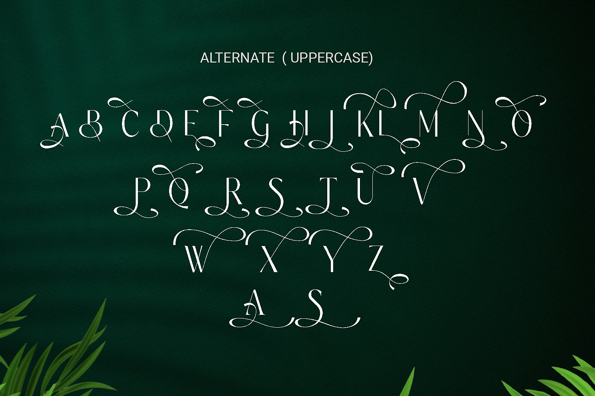 Belavey Modern Luxury Display Font, a Sans Serif Font by RHD Creative Studio (Photo 8 of 9)