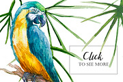Tropical Paradise Watercolor Set, an Illustration by Anna Faun (Thumbnail 3 of 7)
