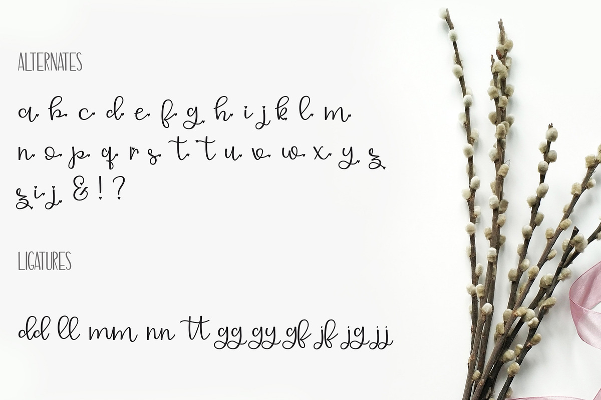 Delicate Romance Font Duo preview 7