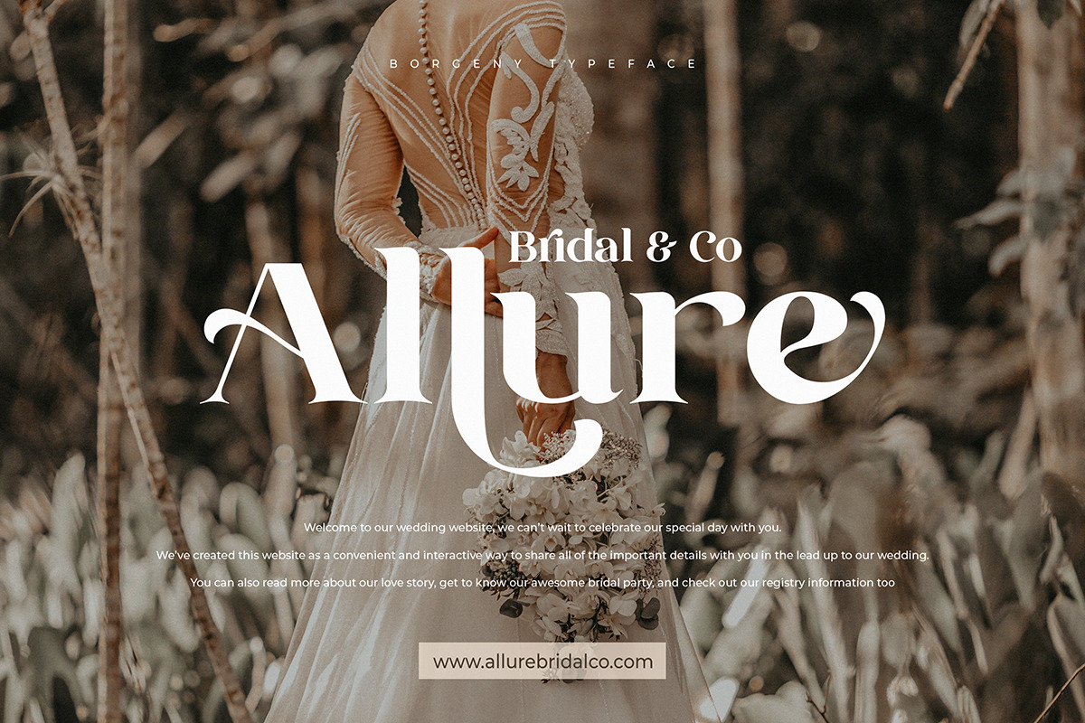 Borgeny | Modern Classy Serif Font, a Serif Font by Pentagonistudio (Photo 2 of 11)