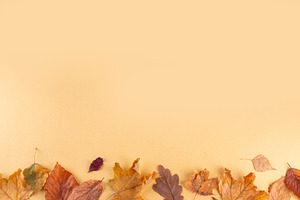 Empty blank card with fall leaves, a Holiday Photo by Rimma