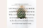 Thirossa _ beauty typeface, a Serif Font by Penatic Studio (Thumbnail 10 of 10)