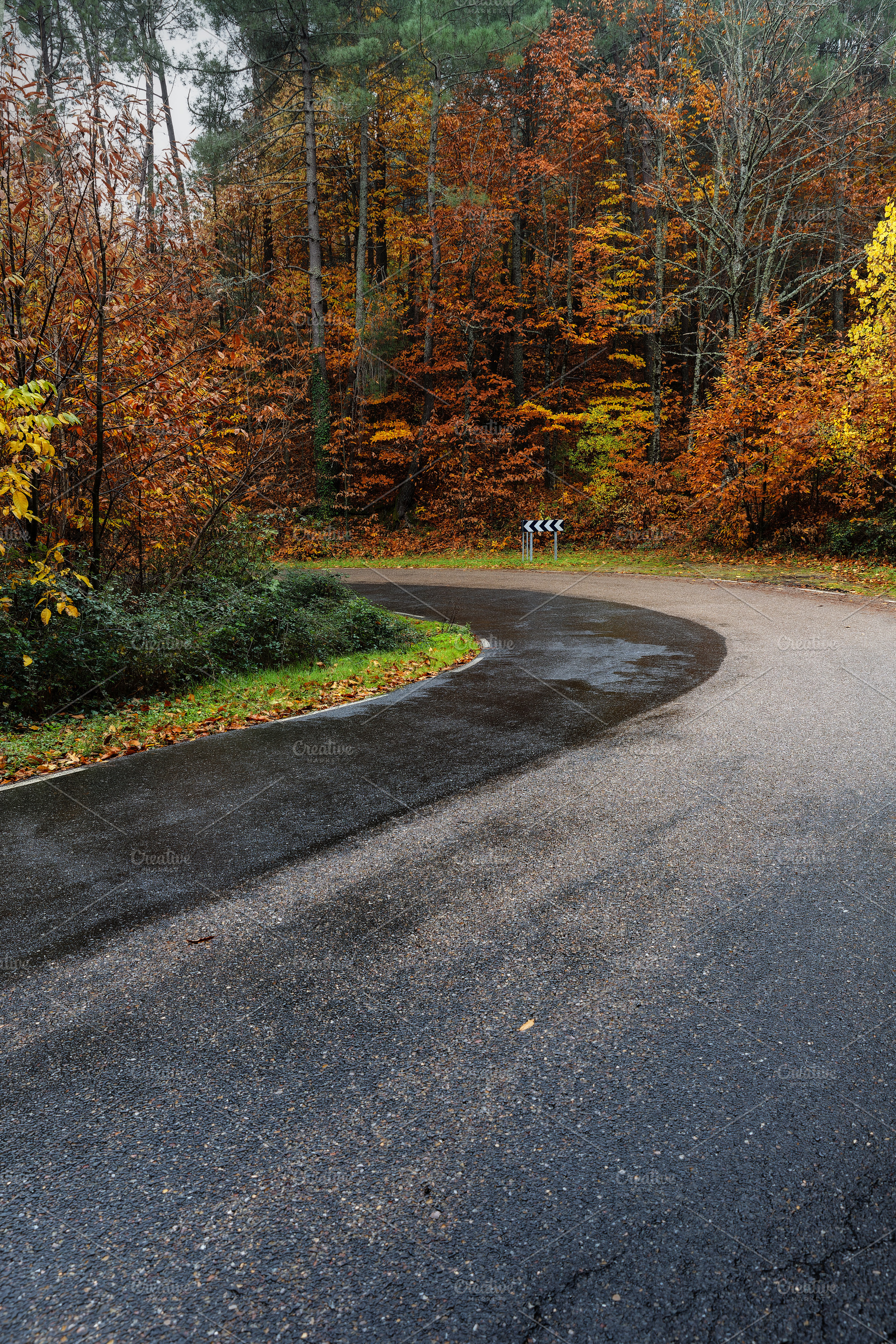 Wet Road on a Sharp Curve Through Au, a Transportation Photo by Perpis
