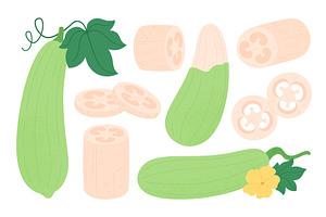 Loofah plant. Flat loofa organic, a Food Illustration by LadadikArt