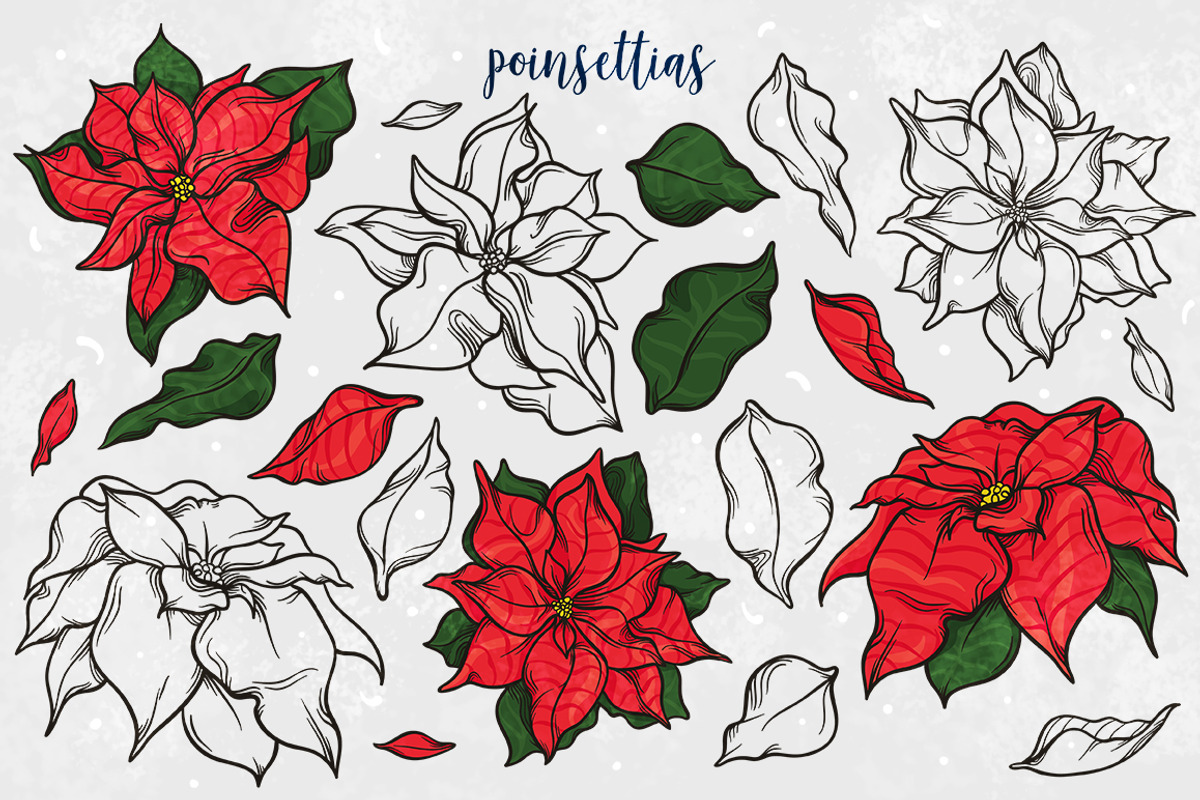 Festive Florals, a Seasonal Illustration by melissadn (Photo 7 of 14)