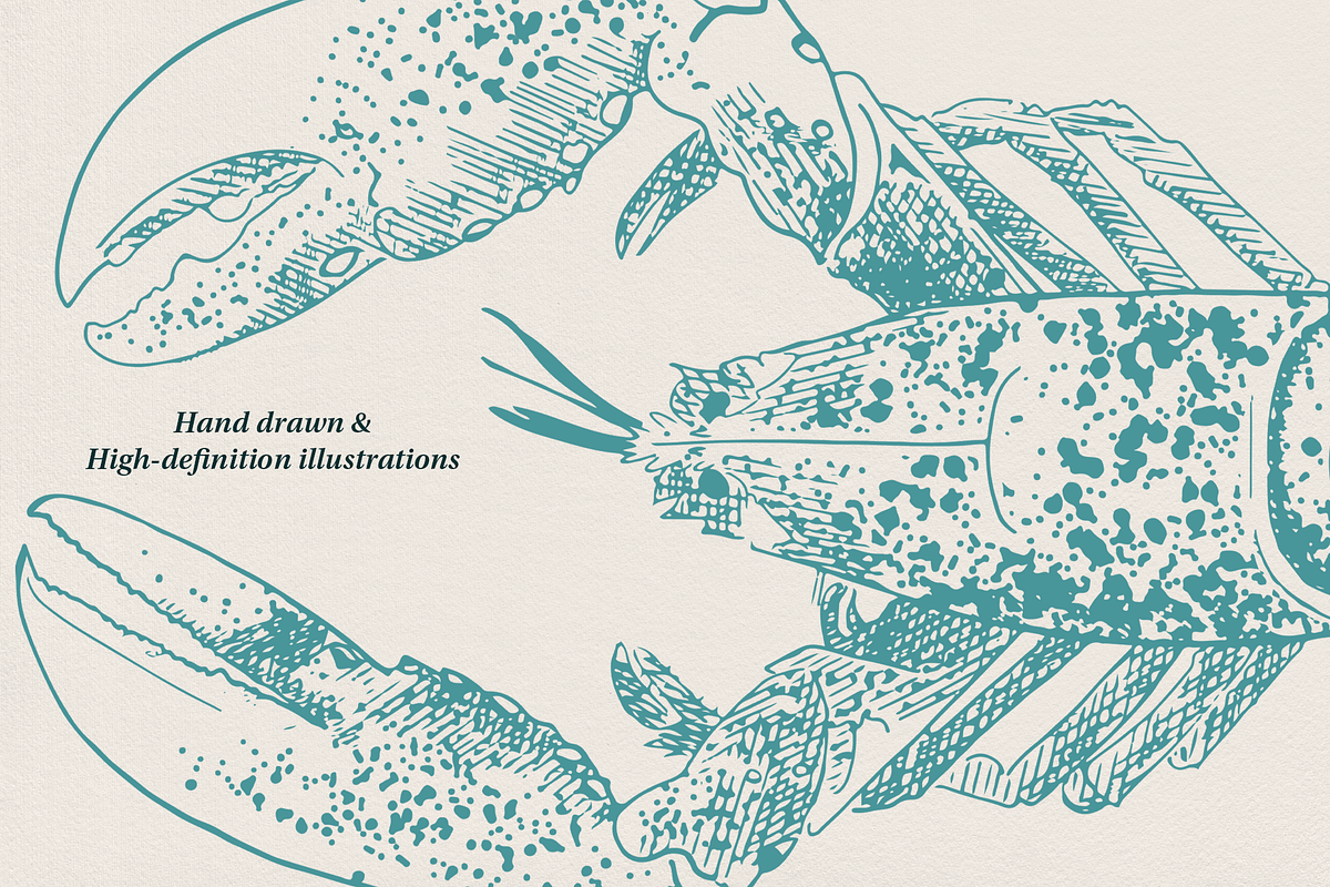 Seafood illustrations, a Food Illustration by Camille Natton (Photo 3 of 8)