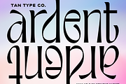 TAN - ARDENT, a Font by TanType (Thumbnail 1 of 7)
