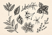 Drinks & Cocktail Menu Illustrations, a Food Illustration by Yevheniia (Thumbnail 11 of 14)