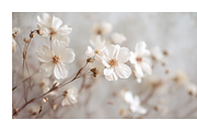 Hihe Co. White Floral Art, a Texture Illustration by milatovar (Thumbnail 19 of 20)