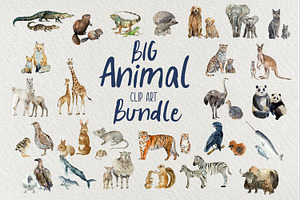 The Huge Educational Bundle