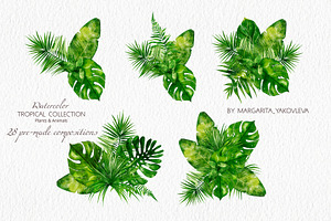 Tropical Collection Watercolor