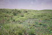 Grass Pack, an Environmental 3D Model by SilverTM (Thumbnail 2 of 6)