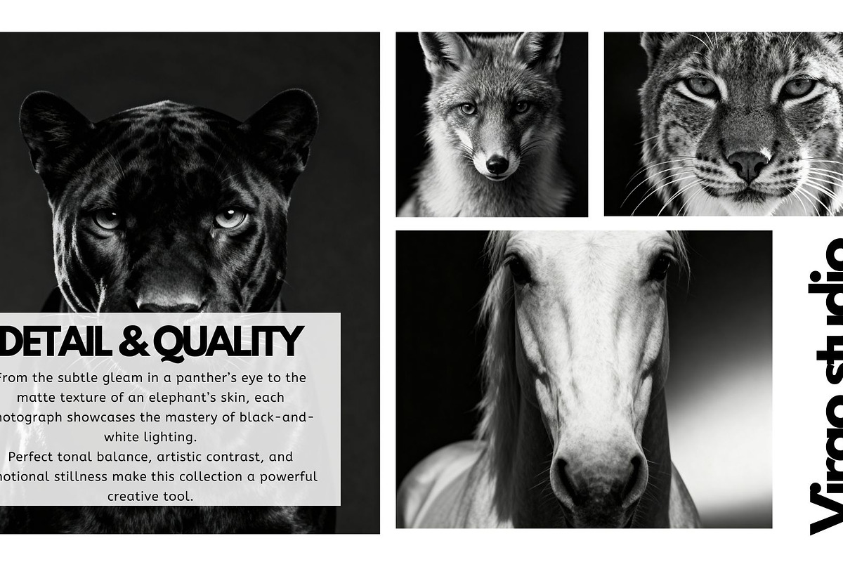 40 Animal Portraits – B&W Collection, an Animal Photo by Virgo Studio (Photo 4 of 6)