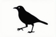 Bird Silhouette design bundle, an Illustration by hafijul (Thumbnail 10 of 13)