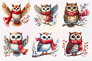 Christmas Owl Clipart PNG, an Illustration by Dream Creation (Thumbnail 6 of 7)
