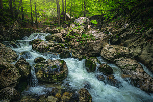 Creek with cascades in the forest, a Nature Photo by Alpine Dreams