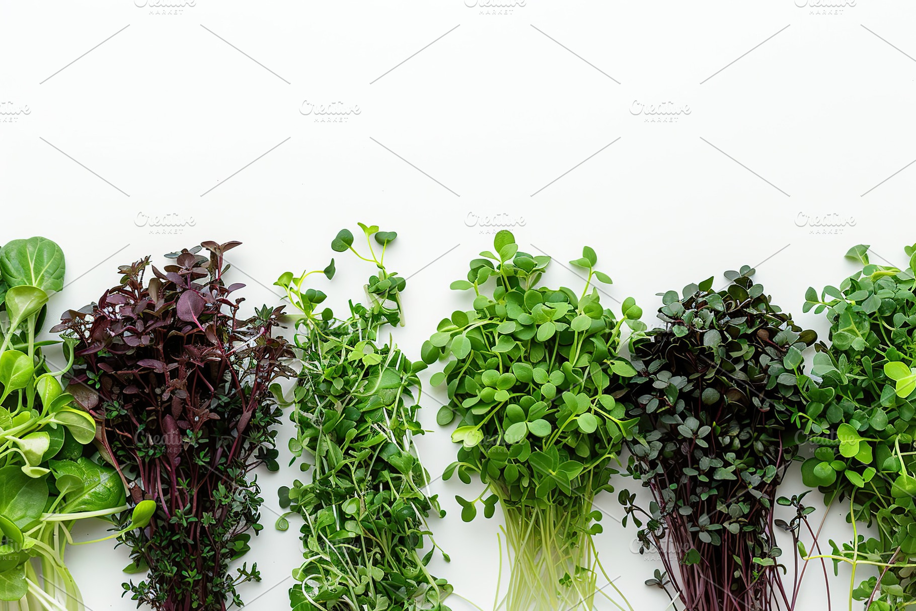 Different fresh microgreens on white background, a Food & Drink Photo by AlyaAnd