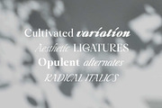 Liliane Classe Serif Font Family, a Serif Font by Ryul Davidson (Thumbnail 2 of 21)