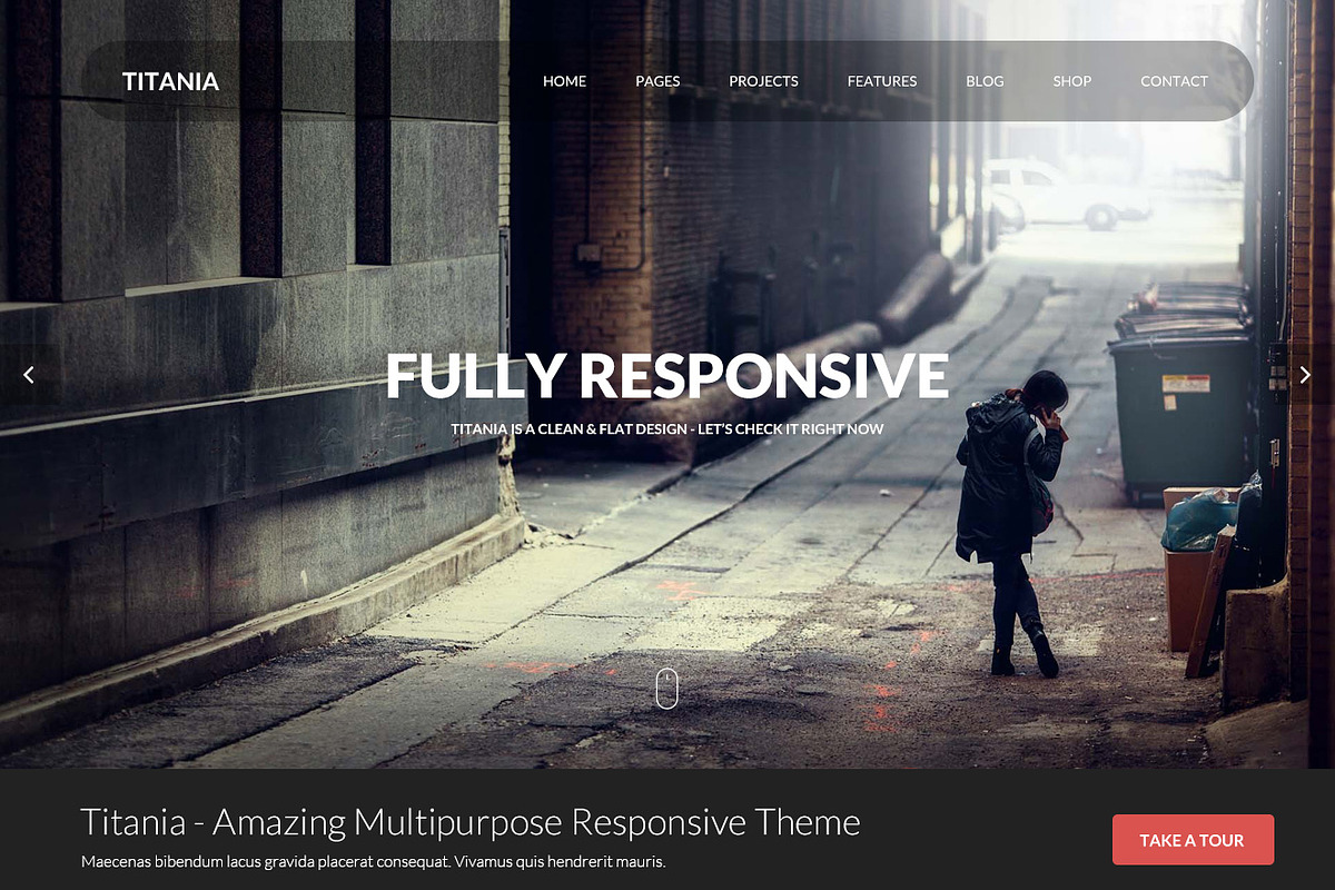 Titania - Multipurpose PSD Template, a Websites & App Template by TemPlaza (Photo 8 of 53)