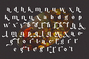 Mangifera Serif Eegant, a Serif Font by Cut Story (Thumbnail 9 of 12)