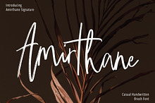 Amirthane - Brush Signature