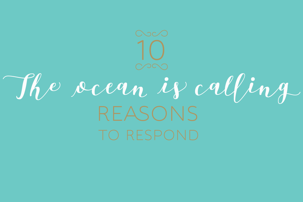 Bikini Season, a Script Font by Los Andes Type (Photo 16 of 19)