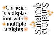 CARNELIAN - Display Variable Type, a Sans Serif Font by Artflorara (Thumbnail 3 of 15)