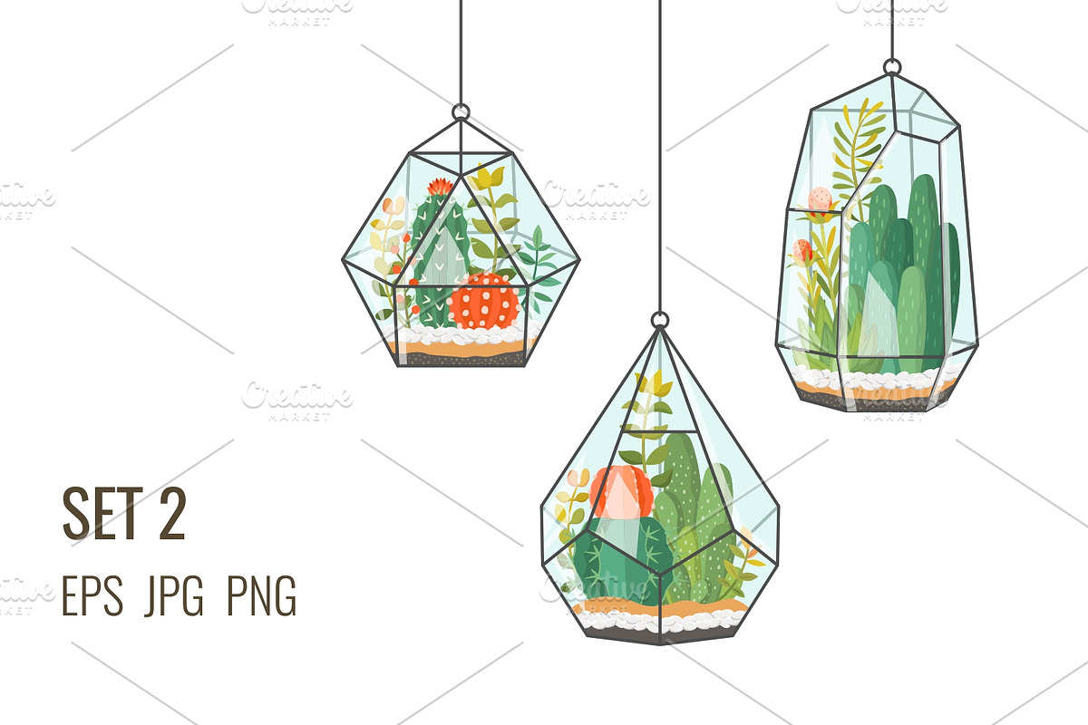 Plants and cacti in terrariums, a Decorative Illustration by Primula`s shop (Photo 4 of 4)