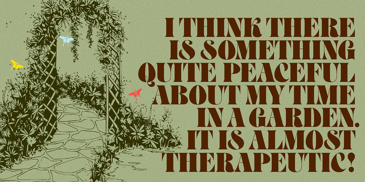 Petals BF, a Serif Font by Bomparte’s Fonts (Photo 6 of 11)