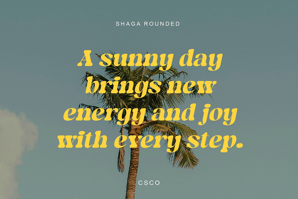 Shaga Rounded, a Serif Font by Craft Supply Co. (Photo 4 of 8)