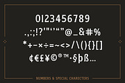 American Spirit – Vintage Serif Font, a Serif Font by Creative Type (Thumbnail 7 of 7)