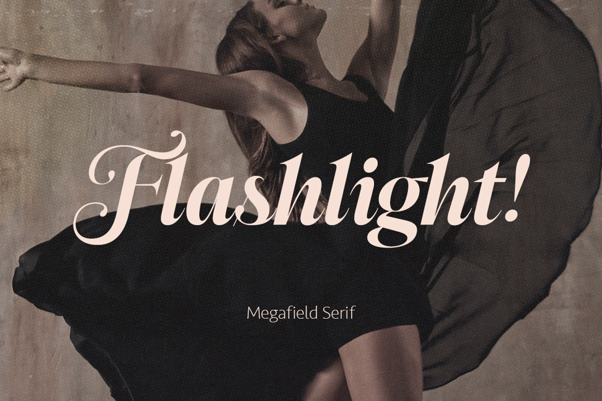 Megafield Serif Family | 12 Fonts, a Serif Font by Mulkan Nazir (Photo 11 of 16)