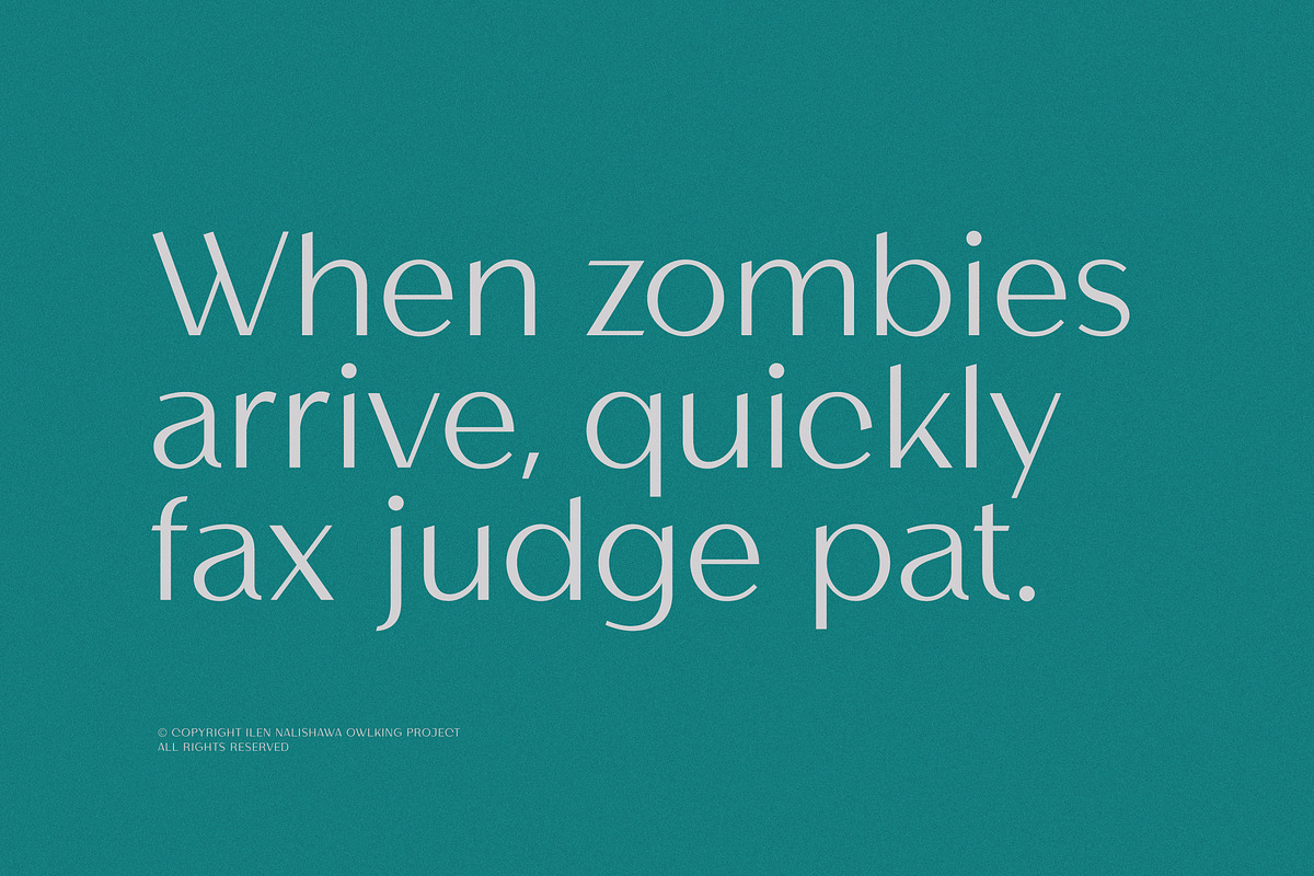 Helnore, a Sans Serif Font by OWL KING (Photo 7 of 8)
