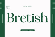 Bretish - Modern Serif Typeface, a Serif Font by Font Kingdom (Thumbnail 1 of 7)